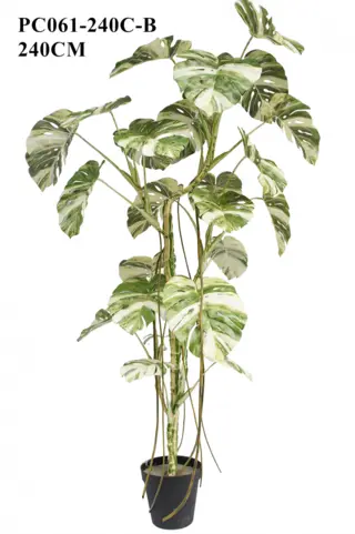 Artificial Tall Monstera Albo Variegata 240CM